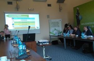 Finansowanie Ochrona Smog Zdjęcie
